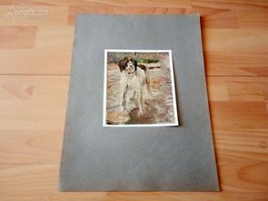 最新上架 維多利亞之美 西洋版畫(huà)屋 孔夫子舊書(shū)網(wǎng)