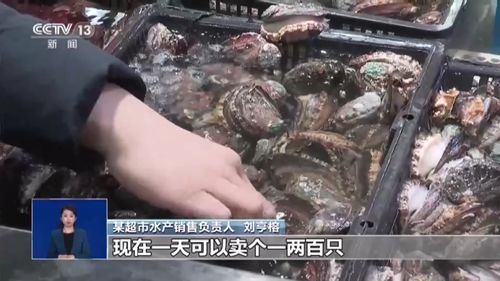 大食物觀 水產(chǎn)養(yǎng)殖產(chǎn)業(yè)如何托起舌尖上的小幸福